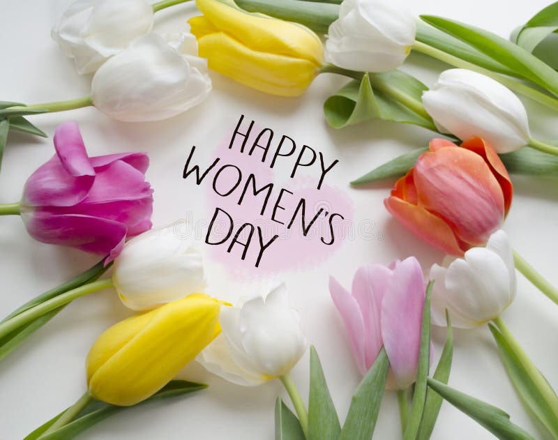 Lyckliga dagtulpan för kvinnor s Härlig blomstra tulpanblomma illustration för design för bakgrundbakgrundskort blom- 8 mars, int