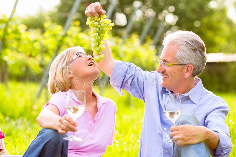 Lyckliga pensionärer som har picknicken som dricker vin royaltyfri foto Lyckliga pensionärer som har picknicken som dricker vin royaltyfri foto