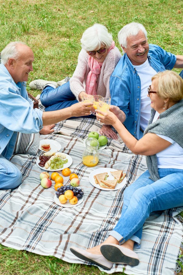 Lyckliga pensionärer som tycker om picknicken parkerar in royaltyfria bilder Lyckliga pensionärer som tycker om picknicken parkerar in royaltyfria bilder