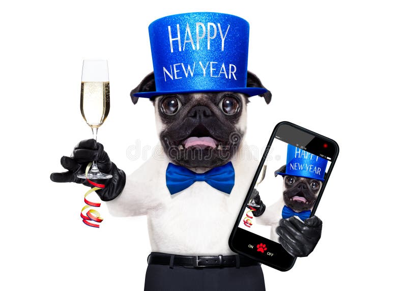 lyckligt nytt år för hund royaltyfria bilder lyckligt nytt år för hund royaltyfria bilder