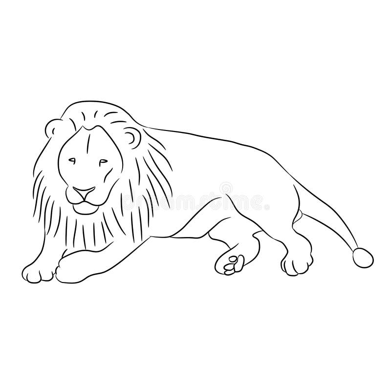 contour shuttle lion contour shuttle lion