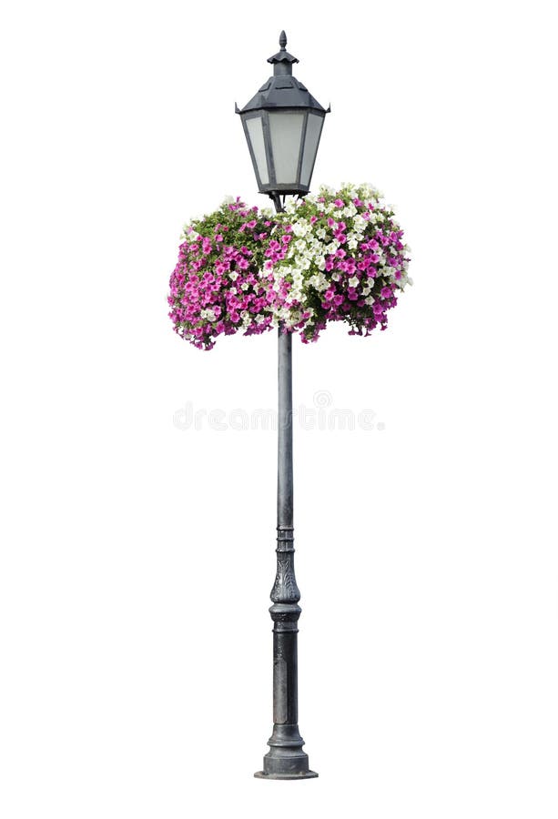 Lyktstolpe med hängande blommor som isoleras fotografering för bildbyråer