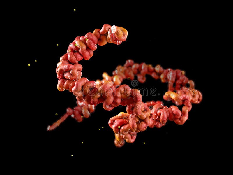 Lyme disease bacteria isolated black 3D illustration stock image