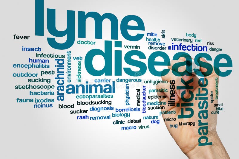 Lyme disease word cloud concept royalty free stock photo