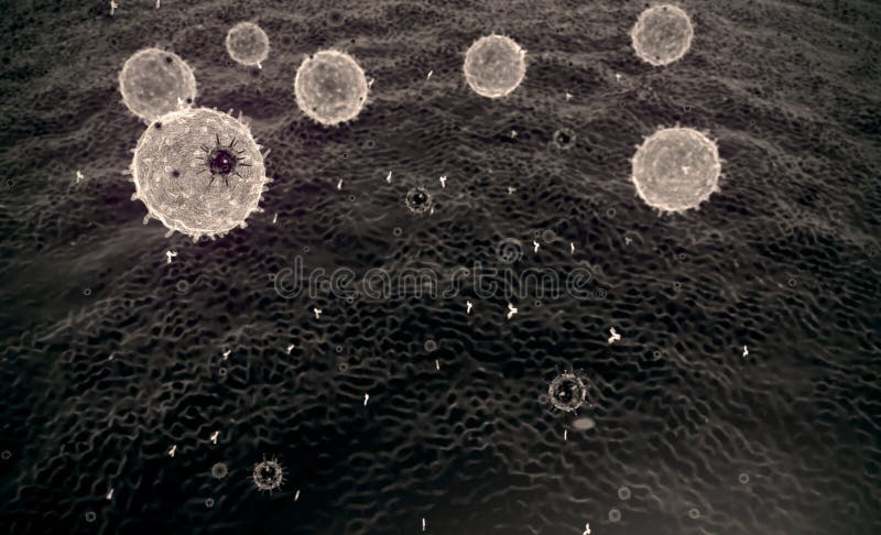 Lymphocytes et virus