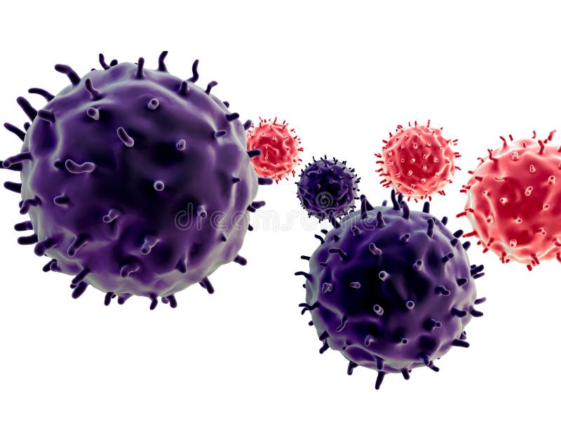Electron micrographs of herpes simplex virus type 1 (HSV-1) amplicon... Download