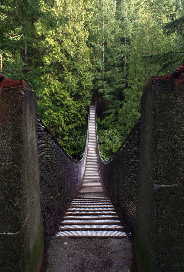 Lynn Canyon Suspension Bridge, Vancouver, Canada Stock Image Image of