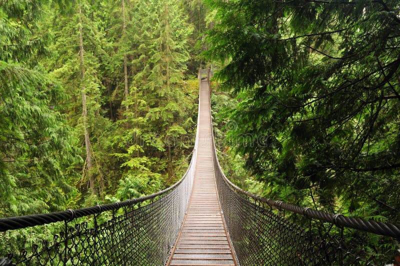 Lynn Valley Suspension Bridge Stock Image Image of scenery, valley