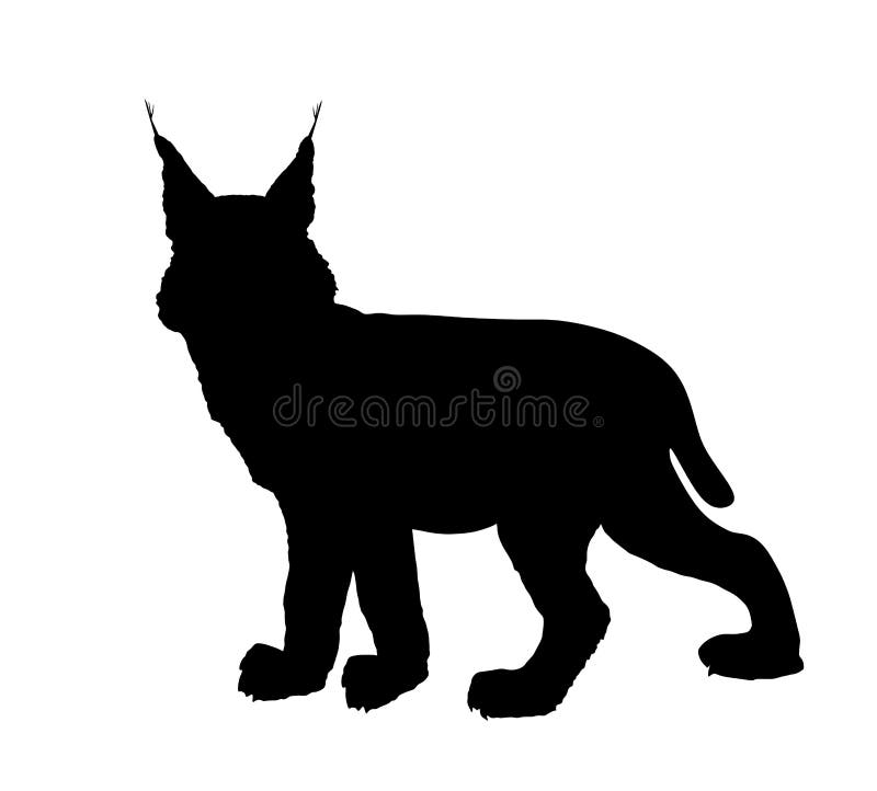 Lynx vector silhouette illustration isolated on white background. Bobcat silhouette.