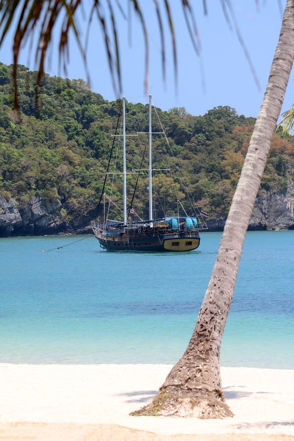 Lyxig yachtsegling i den tropiska ön, den vita sandstranden och havet på Samui royaltyfri bild Lyxig yachtsegling i den tropiska ön, den vita sandstranden och havet på Samui royaltyfri bild