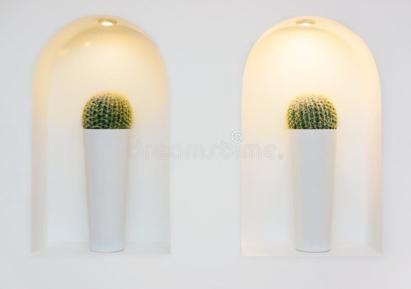 Lámparas y cactus en alcoba