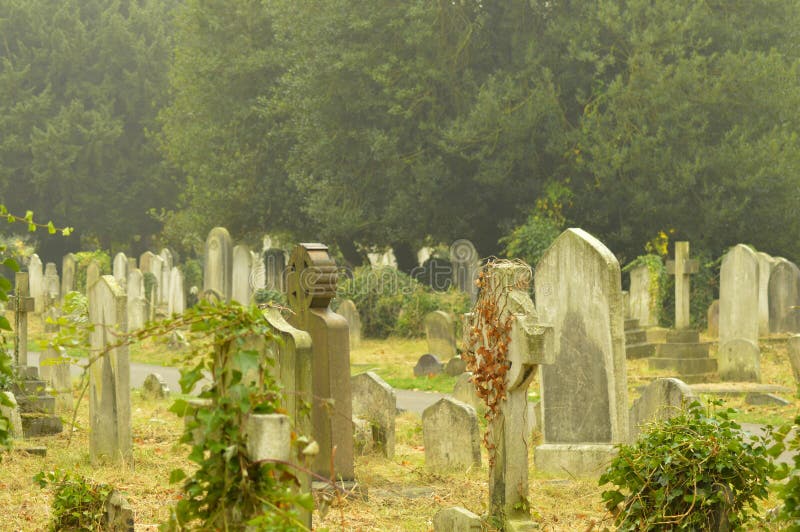 Misty morning in the cemetery. Misty morning in the cemetery