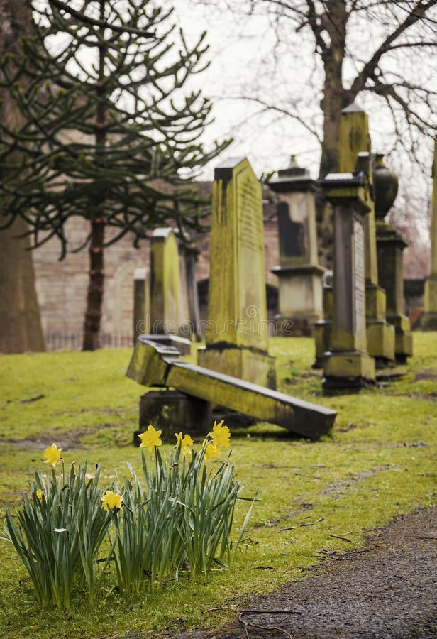 Image of old headstones in a graveyard. Edinburgh, Scotland. Image of old headstones in a graveyard. Edinburgh, Scotland.