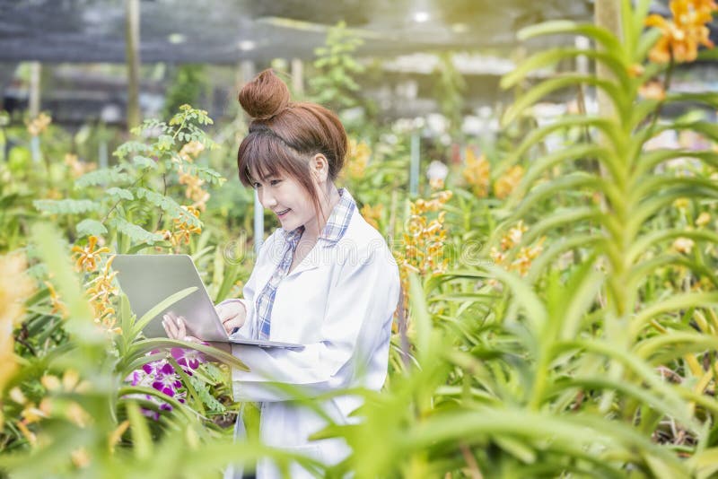 Lächeln-Wissenschaftler, die einen Computer in einem Orchideengarten halten Botanische Forschungsorchidee des Forschers tragendes stockfotos Lächeln-Wissenschaftler, die einen Computer in einem Orchideengarten halten Botanische Forschungsorchidee des Forschers tragendes stockfotos