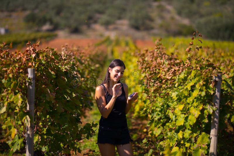 Lächelnde elegante Frau in der Natur Freude und Glück Ruhige Frau auf dem Weinrebegebiet im Sonnenuntergang Weinanbaufeld Landwir lizenzfreies stockbild Lächelnde elegante Frau in der Natur Freude und Glück Ruhige Frau auf dem Weinrebegebiet im Sonnenuntergang Weinanbaufeld Landwir lizenzfreies stockbild