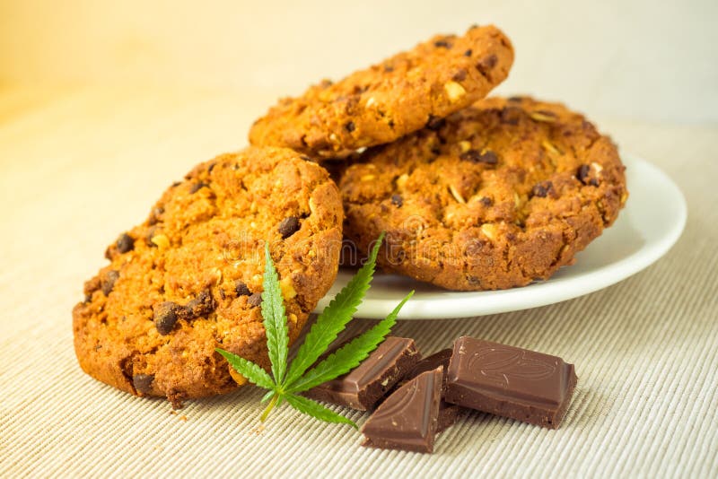 Läckra hemlagade choklade kakor med CBD-cannabis och fotografering för bildbyråer Läckra hemlagade choklade kakor med CBD-cannabis och fotografering för bildbyråer