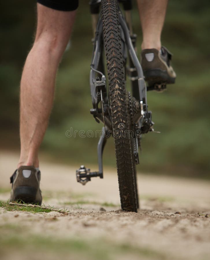 Lägger benen på ryggen mannen för den låga vinkeln för den bakre sikten på mountainbiket royaltyfri foto Lägger benen på ryggen mannen för den låga vinkeln för den bakre sikten på mountainbiket royaltyfri foto