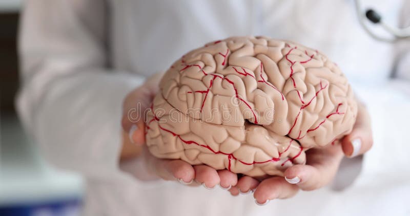 Läkare neurolog som håller artificiell hjärnmodell i sina händer stänger av 4 k film långsam rörelse