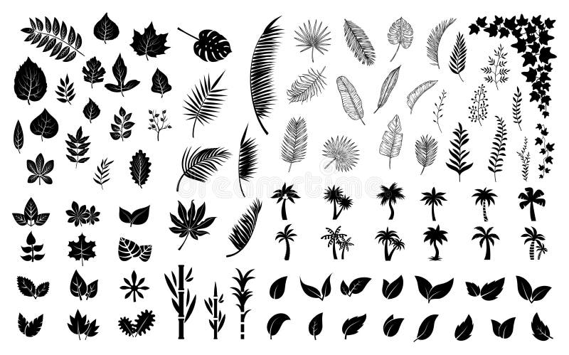 Lämnar silhuetter. Bladpalmbladsträd. separat planteringssamling. exotiska palmer och vivel från skog stock illustrationer