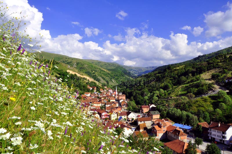 Ländliche Landschaft des Sommers mit dem Dorf stockbild Ländliche Landschaft des Sommers mit dem Dorf stockbild