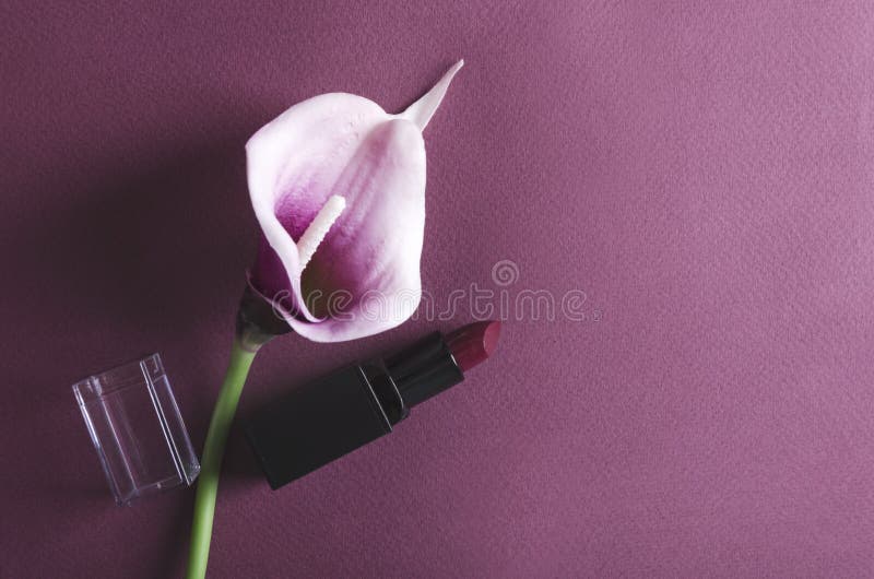 Läppstift för blomma för Calla matte purpurfärgad och på den violetta yttersidan Den b?sta sikten och t?mmer utrymme f?r text royaltyfri bild Läppstift för blomma för Calla matte purpurfärgad och på den violetta yttersidan Den b?sta sikten och t?mmer utrymme f?r text royaltyfri bild