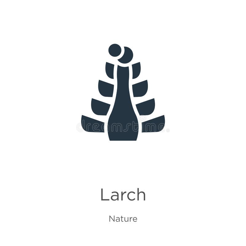 Lärchensymbol Trendfarbene flache Lärchensymbol aus der Natursammlung isoliert auf weißem Grund Vector Illustration kann für vektor abbildung