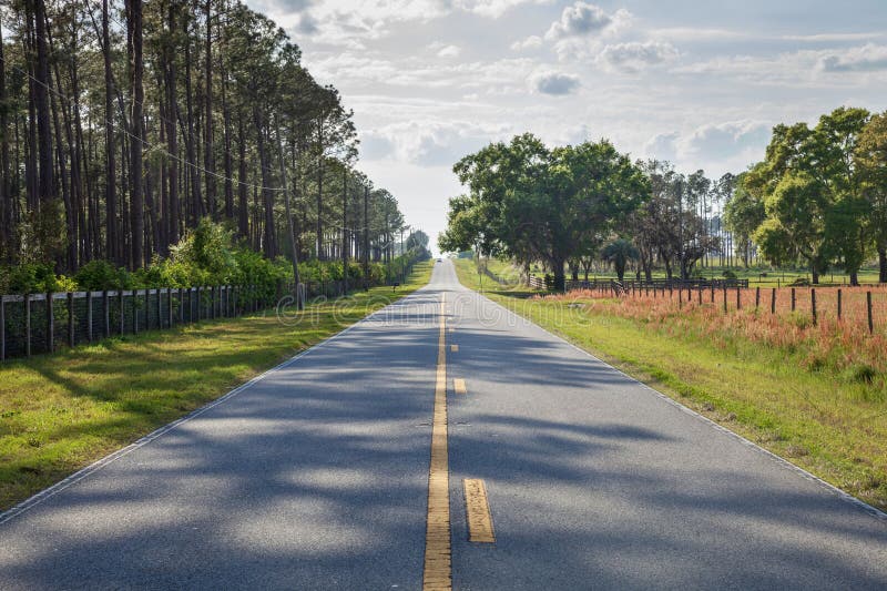 Lågvinkelsikt på två körfält i centrala Florida på landsbygden på en solig dag royaltyfri fotografi