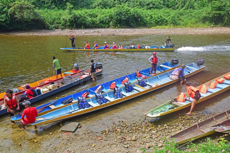 Långa färglösa båtar längs melinau-floden vid pistolung mulu national park sarawak malaysia royaltyfri foto