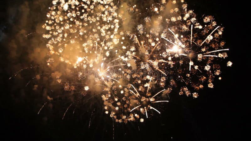 Långsam mo Härliga fyrverkerier som exploderar på svart arkivfilmer