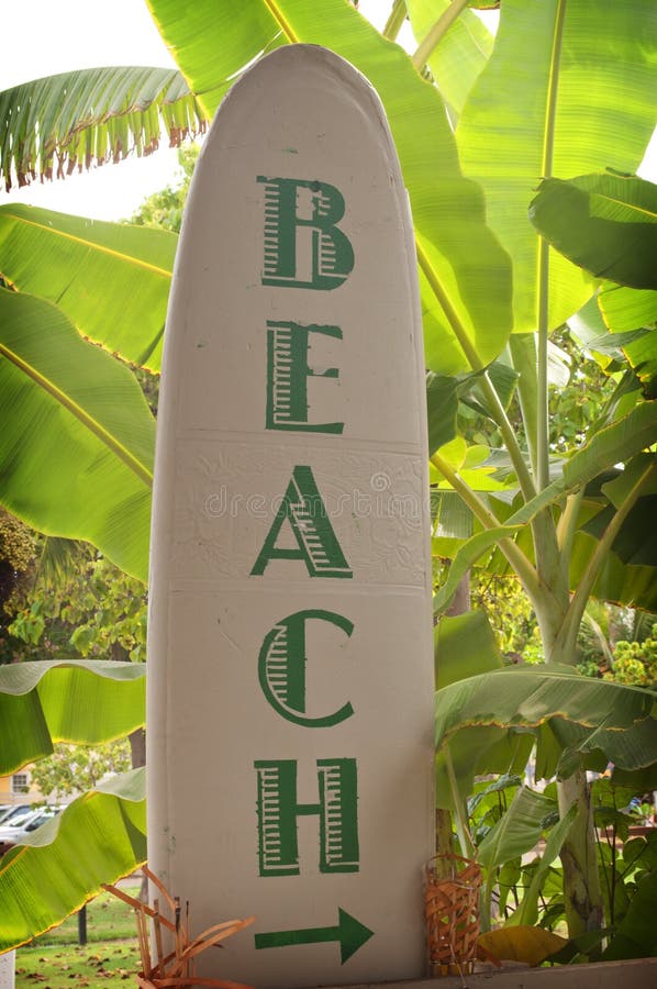 A white sign showing the way to the beach in the shape of a surf board. The word Beach with arrow whitten in green capital letters. Surrounded by tropical palms. A white sign showing the way to the beach in the shape of a surf board. The word Beach with arrow whitten in green capital letters. Surrounded by tropical palms.