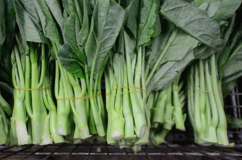 Download Légumes Chinois De Brocoli Dans Le Panier Image stock - Image du nutrition, frais: 45369049