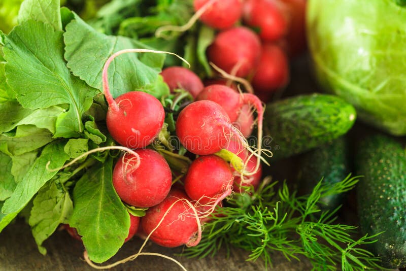 Légumes frais photographie stock libre de droits