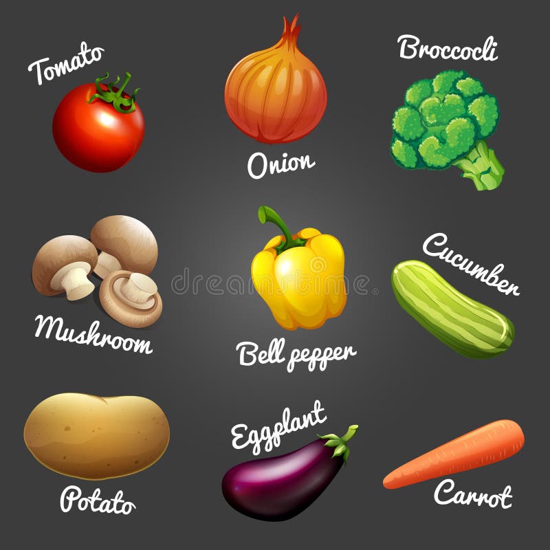 Légumes frais avec des noms illustration libre de droits Légumes frais avec des noms illustration libre de droits