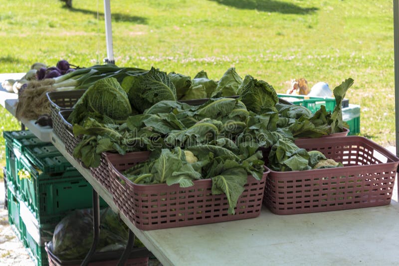 Légumes organiques frais à vendre sur un marché extérieur d'agriculteurs image stock Légumes organiques frais à vendre sur un marché extérieur d'agriculteurs image stock