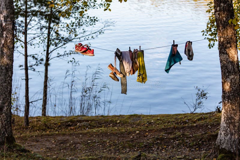 Línea con ropa en bosque imagen de archivo libre de regalías