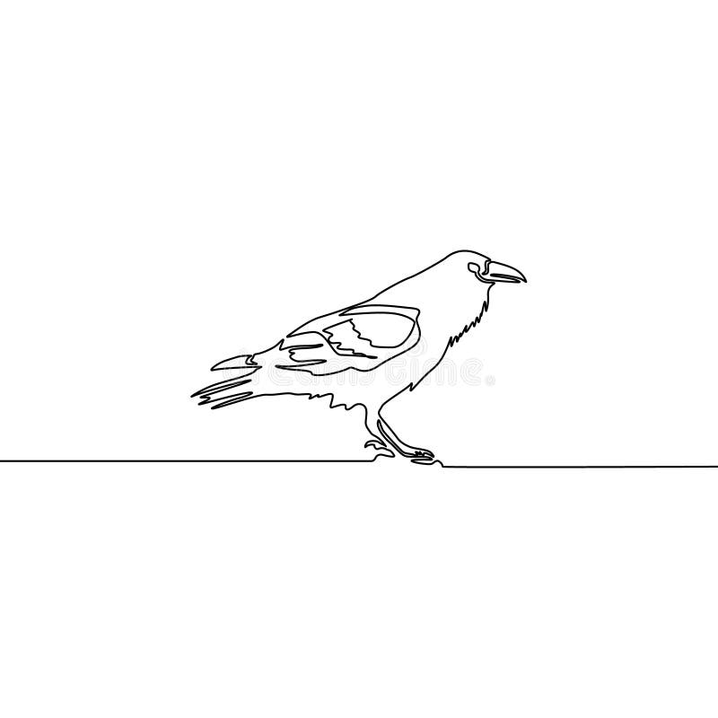 Línea continua cuervo aislado en el fondo blanco Ilustraci? n del vector libre illustration