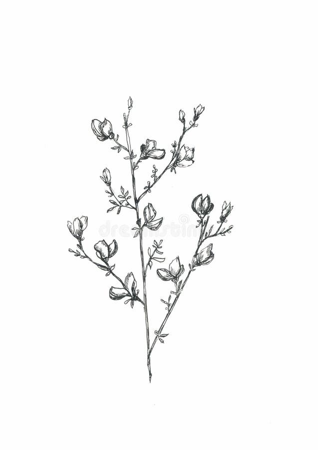 Línea gráfico de las flores del diseño del fondo del arte ilustración del vector Línea gráfico de las flores del diseño del fondo del arte ilustración del vector