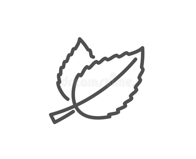 Línea icono de las hojas de menta Hoja herbaria stock de ilustración Línea icono de las hojas de menta Hoja herbaria stock de ilustración