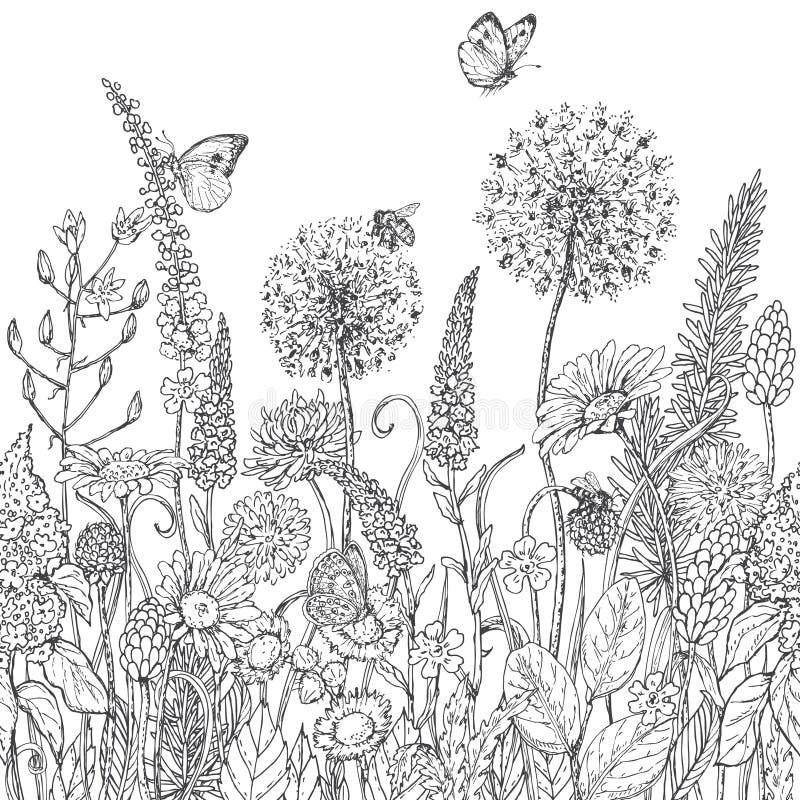 Línea inconsútil modelo con los wildflowers y los insectos ilustración del vector Línea inconsútil modelo con los wildflowers y los insectos ilustración del vector