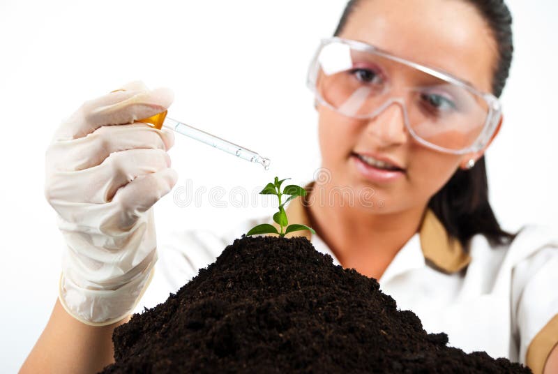 Líquido de derramamento do cientista na planta fotos de stock royalty free Líquido de derramamento do cientista na planta fotos de stock royalty free