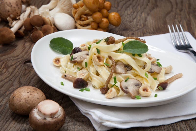 Lös champinjonpasta royaltyfri bild Lös champinjonpasta royaltyfri bild
