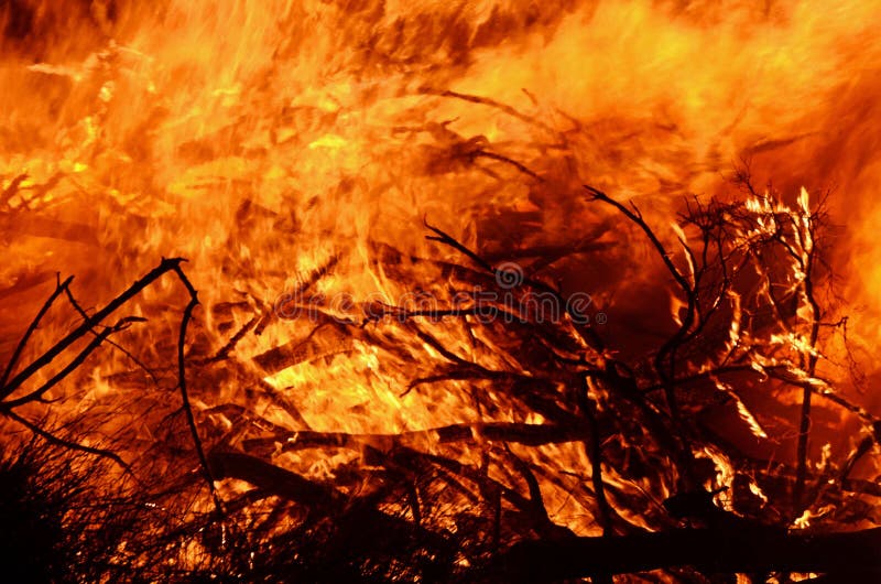 A dramatic closeup image of a huge bushfire in Australia with the flames just raging through all the dry branches and grass. Taken in Queensland outback, Australia. A dramatic closeup image of a huge bushfire in Australia with the flames just raging through all the dry branches and grass. Taken in Queensland outback, Australia.