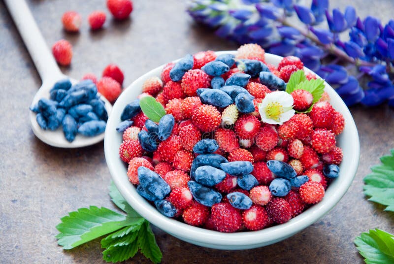 Wild strawberries and Blue Honeysuckle Berries on a brown background. Wild strawberries and Blue Honeysuckle Berries on a brown background