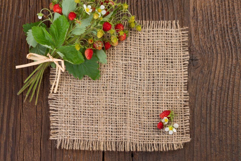 Wild strawberries on a rustic background. Wild strawberries on a rustic background