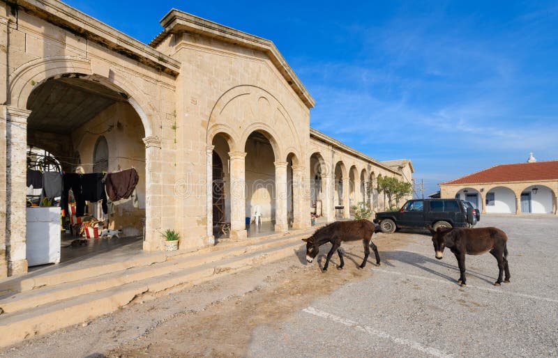 Wild donkeys in front of Apostolos Andreas Monastery which is situated just south of Cape Apostolos Andreas Cape of Saint Andrew, which is known to the Turkish Cypriots as Cape Zafer, which is the north-eastern most point of the island of Cyprus, in the Karpass Peninsula currently it is in the Turkish Cypriot-administered area of North Cyprus, the unrecognized except by Turkey Turkish Republic of Northern Cyprus since 1974. Wild donkeys in front of Apostolos Andreas Monastery which is situated just south of Cape Apostolos Andreas Cape of Saint Andrew, which is known to the Turkish Cypriots as Cape Zafer, which is the north-eastern most point of the island of Cyprus, in the Karpass Peninsula currently it is in the Turkish Cypriot-administered area of North Cyprus, the unrecognized except by Turkey Turkish Republic of Northern Cyprus since 1974.