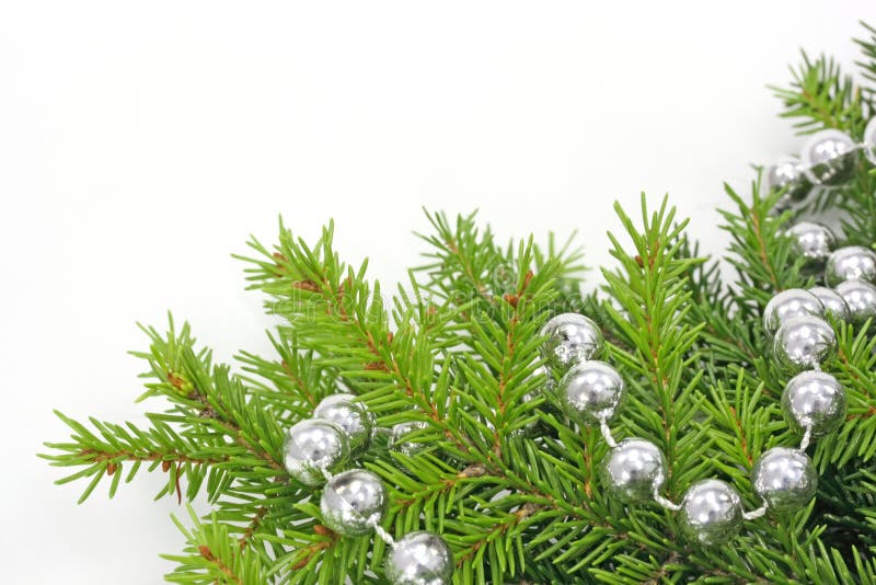 Decorated christmas tree bough on a white background. Decorated christmas tree bough on a white background