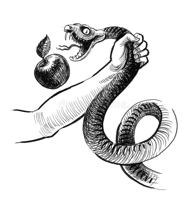 Cobra e maçã ilustração stock. Ilustração de tinta, réptil - 157164734