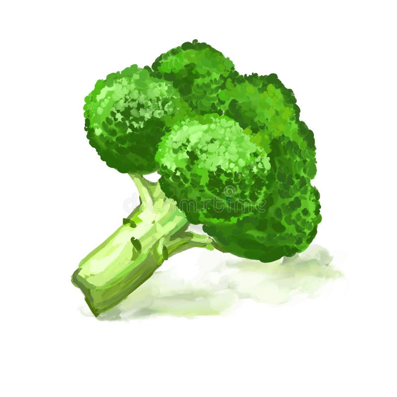 Personagem De Desenho Animado De Brócolis Vegetal Emoji Mascot Ilustração  do Vetor - Ilustração de mascotes, feliz: 220542072