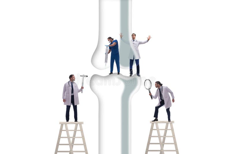 Joint D Os Image Stock Image Du Centre Cartilage Ossification