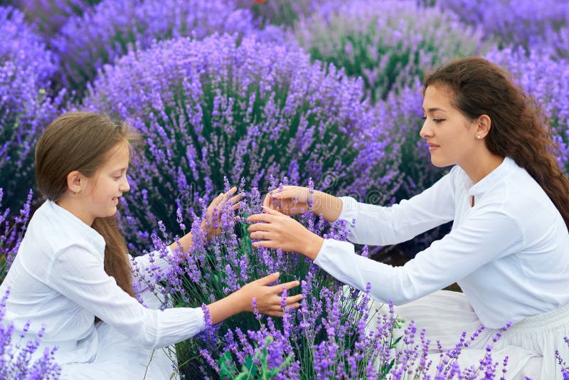 M?dchen sind auf dem Lavendelblumengebiet, sch?ne Sommerlandschaft stockfoto M?dchen sind auf dem Lavendelblumengebiet, sch?ne Sommerlandschaft stockfoto